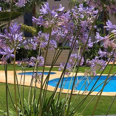 Apartment De Jardines Dénia Eksteriør billede